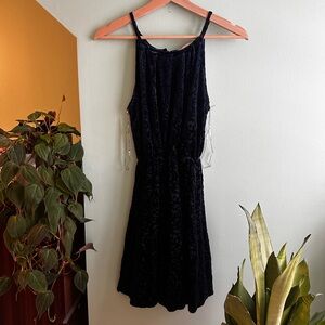 Elegant Black and Navy Velvet Dress